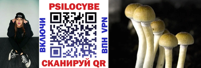 Галлюциногенные грибы Psilocybine cubensis  Шацк 